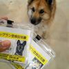 ドッグラン　更新手続き　青葉だよ