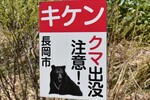 新潟県でクマが生息していない山域