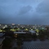 大晦日にマンタ3枚！