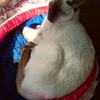 死生について考え続けてみること。
