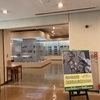 さいたま市最新出土品展2024  さいたま市立博物館