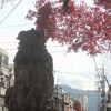 霜月忌、五年目。
