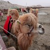 タクラマカン砂漠縦断旅（旅程メモ）