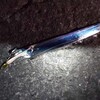 泉南 タチウオワインド 第3戦