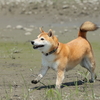 晴れた日曜日