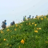 鳥海山ー山歩き雑感ー