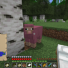 【マイクラ】ピンクの羊の確率は？何分の何？｜消えた問題やレア度・コマンドまで解説