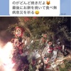 役が回ってくる