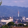 今日は、五山の送り火だぁっ・・・