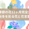 日本の季節の花12ヶ月完全ガイド！春夏秋冬を彩る花と花言葉一覧