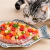 ちらし寿司を食べる猫