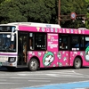 徳島バス / 徳島230あ 1806 （I-1806）