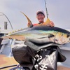 キハダ38kg 誘い出し〜ルアー合衆国ロケ〜ほっぺ毛丸パヤオ釣行