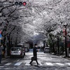 shot365_2022_03　タグ固定毎日投稿はじめました！