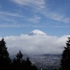 箱根外輪山の乙女峠からの富士山