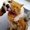 アフターピルをもっと身近なものに、、、
