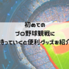 初めてのプロ野球観戦に持っていくと便利な持ち物