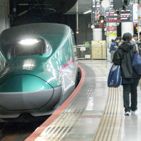 秋の東北・上越・北陸新幹線撮影記2025＜その３：三陸沖地震によるダイヤ乱れ＞ E2系なすの・やまびこ、E3系臨時つばさ、E5系はやぶさ、H5系、E6系こまち（過去画スーパーこまち）、E7系かがやき・とき・あさま、回想シーンのE4系。
