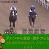 【新潟2歳ステークス追い切り調教】 キャスパリーグ１馬身遅れも大丈夫 「競馬レース結果ハイライト」2016年≪競馬場の達人,競馬予想≫