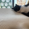 楽しかった翌日は疲れもぶっ飛ぶ！