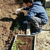 １２歳で初めて単独、ジジババと水入らず✨