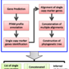 phylogenetic marker genesを検出し、marker genes全てを使って系統比較する自動化されたパイプライン ezTree