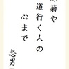 寒菊や道行く人の心まで