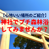 【心地いい場所のご紹介】神社でプチ森林浴してみませんか？