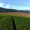 雨の後の澄んだ青空