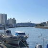 湘南海岸公園の河口から境川をさかのぼって歩く【藤沢】
