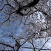 月曜日 雑談…二日ぶりに晴れた