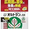 週末農業（令和2年4月②）