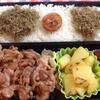 今日のお弁当