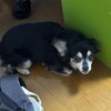 まろにー3589日目