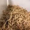 くろごまあん23日目