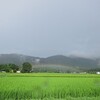 朝の豪雨、そして虹