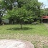 河村城跡