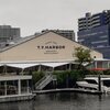 T.Y.HARBOR