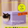 コレ、四ニャン坊たかんぼ、に！当選しなきゃ購入してみる【爪とぎボックス KAKUREGA】