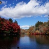 「雲場池」へ到着！圧巻の紅葉の後はそば処「川上庵」へ