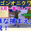 【あつ森】7月の北半球の激レアな虫コンプ！ヘラクレスオオカブト、オウゴンオニクワガタ、プラチナコガネの生息時期や活動時間帯や、簡単な収集法について解説！Rare Insects Animal Crossing New Horizons【あつまれ どうぶつの森】