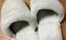 記事を見る
