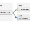  sslh で ssh / httpsを同時443で使い、しかも接続元IPを維持する