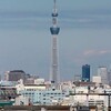 スカイツリーの全貌は？