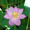 〜MM夢クリでの妊活日記〜