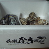 今年も来ました鳴瀬の牡蠣