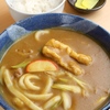 カレーうどんは、名古屋めしなのか。