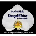 レンタル彼氏【ディープ・ホワイト】http://deepwhitetokyo.jimdo.com