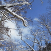 山道散歩　冬の青空。