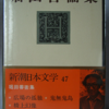 堀田善衛「鬼無鬼島」（新潮社）